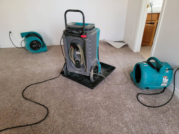 Water damage restoration experts in West Hollywood, CA