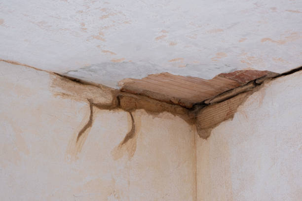 Best Water damage restoration specialists  in West Hollywood, CA