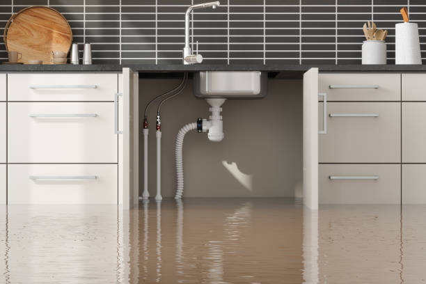Best Basement water damage restoration  in West Hollywood, CA