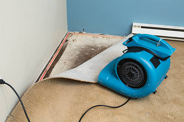 Best Water damage restoration experts  in West Hollywood, CA